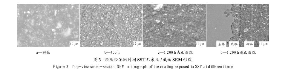 某有机涂层在盐雾环境下性能实验