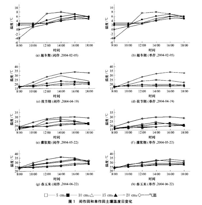 冬小麦间作舂玉米土壤温度变化试验